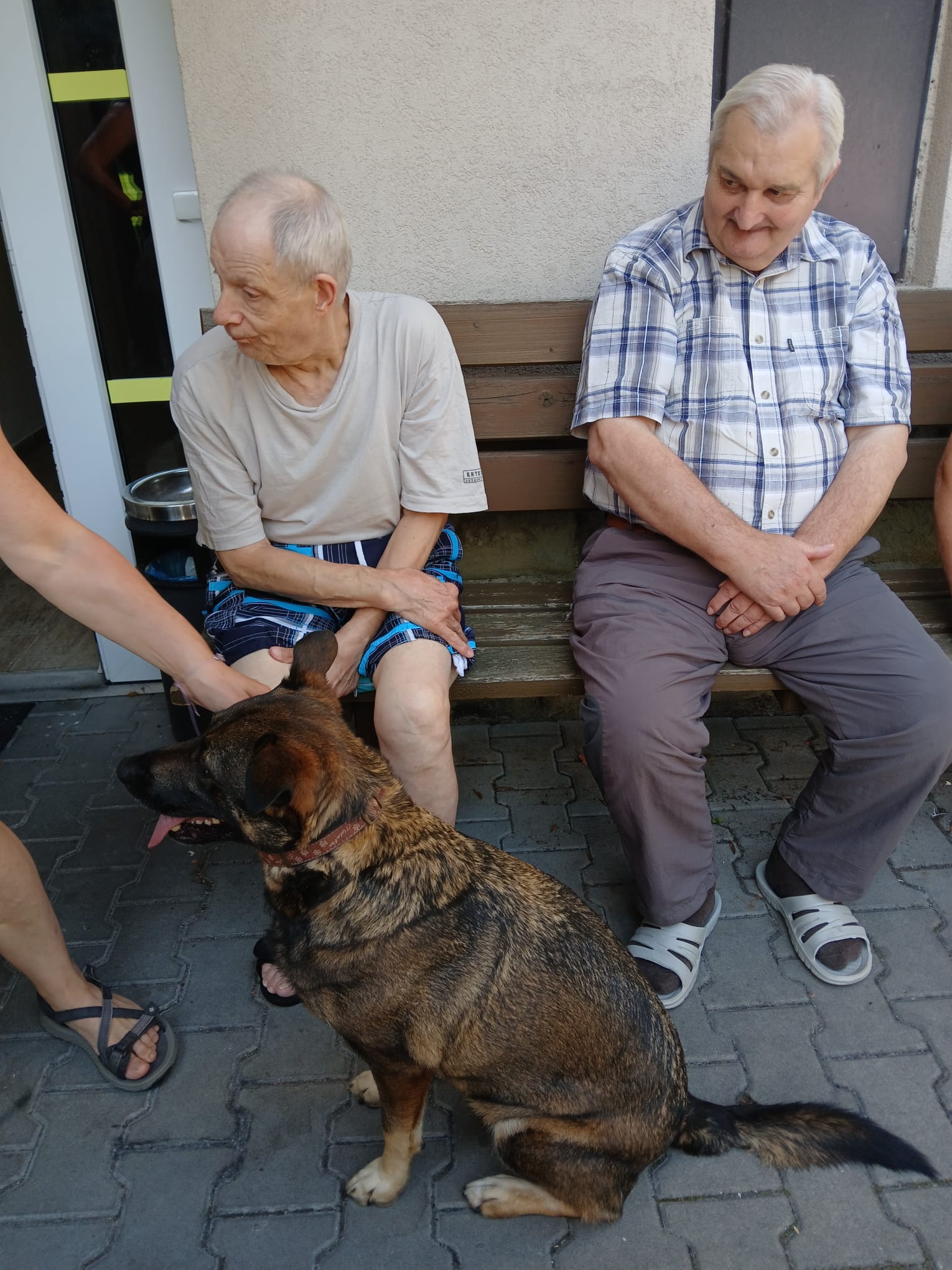 Setkání se zvířátky a canisterapie