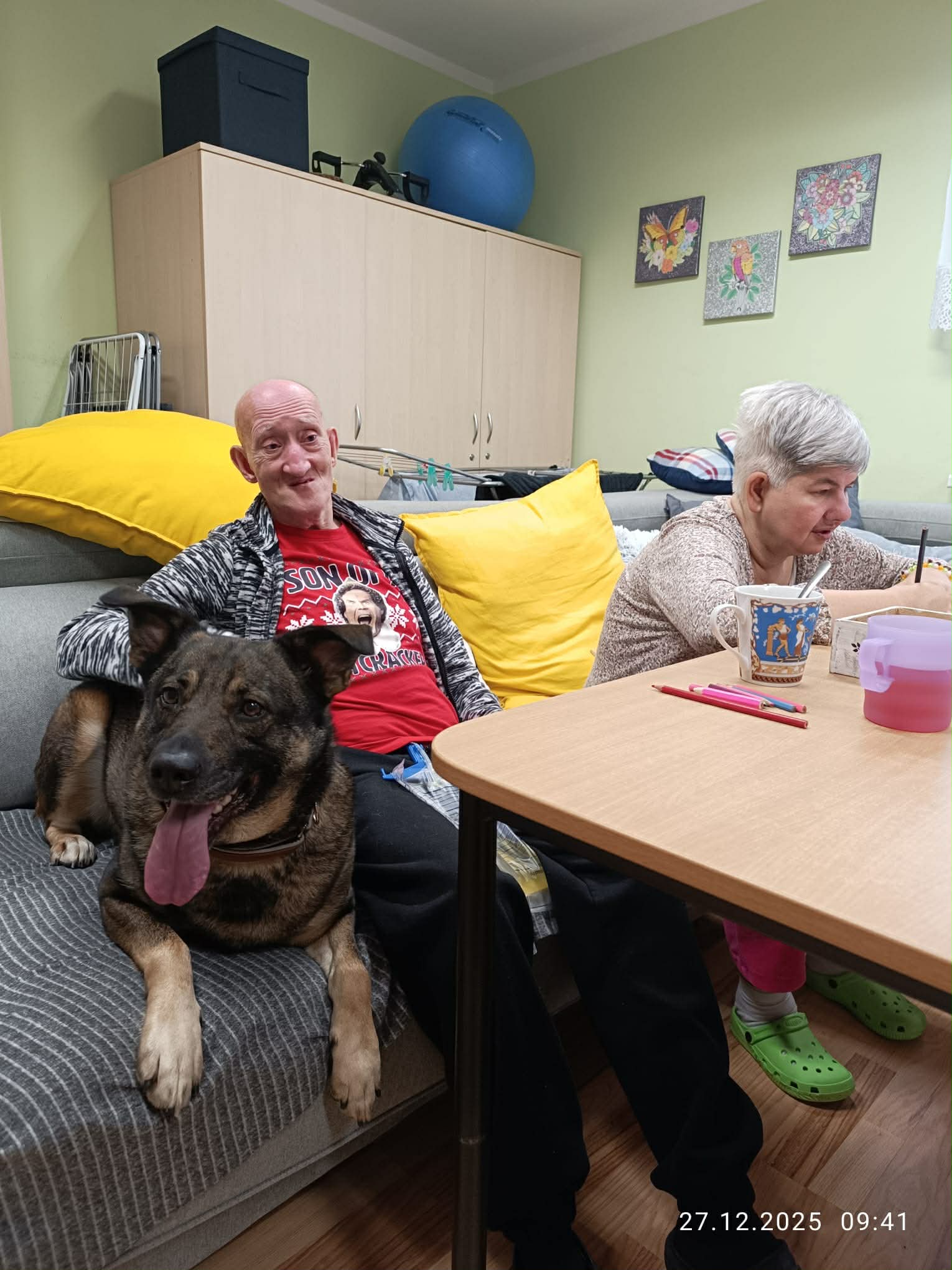 Canisterapie v posledním dni v roce